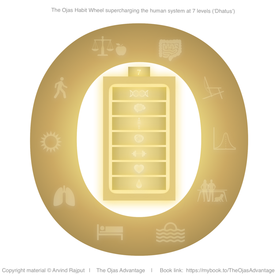Simple Habits Supercharged Life (The Ojas Advantage) Ten core habits on the Ojas Habit Wheel charges the human battery (7 "Dhatus") supercharging vitality, clarity, immunity, resilience & more.